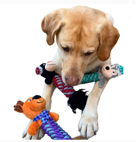 Juguete Para Perro 3pz Think Dog