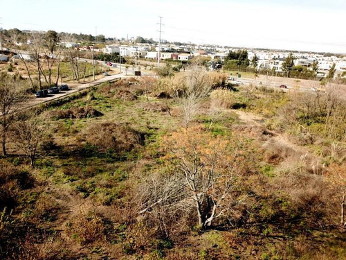 Benavidez - Fraccion De Terreno En Venta - Lote Sobre Ruta 27 - 2.6 Hectáreas - Apto Varios Destinos - Vivienda O Comercial -