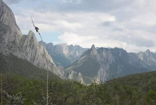 Imagen 10 de 18 de Terreno En Venta En La Huasteca Km 8.5