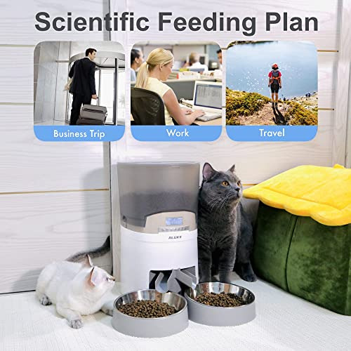Comedero Automático Gatos, Dispensador De Alimentos Ma...
