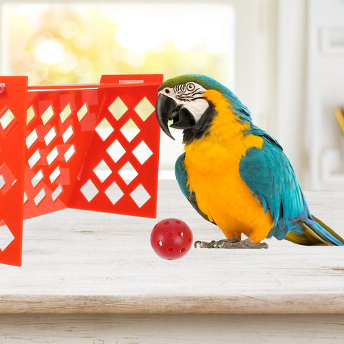 Divertido Juego De Minijuguetes Para Entrenar Loros En Un Ca