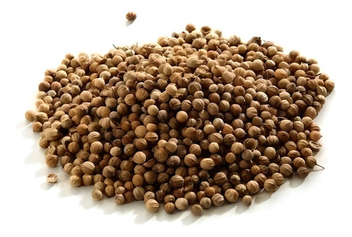 Semillas De Cilantro Criollo De Rancho 5 Kg
