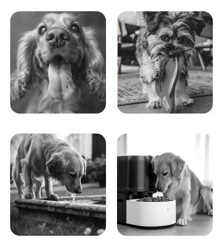 Botellas De Agua Para Perros Que Pasean Botella De Agua De V