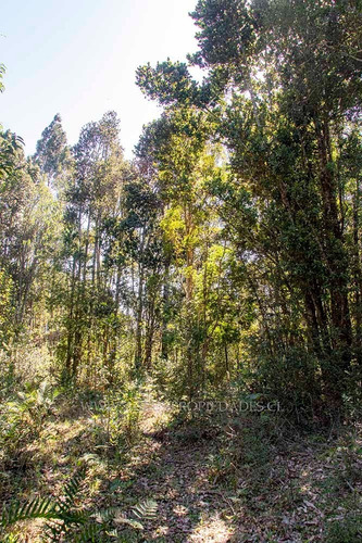 Parcela De 6mil M2 En Minte - Puerto Varas