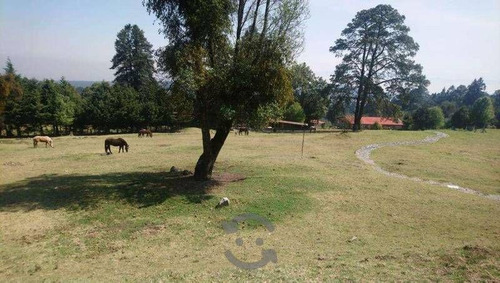 Se Vende Rancho En San Miguel Ajusco Tlalpan Cdmx