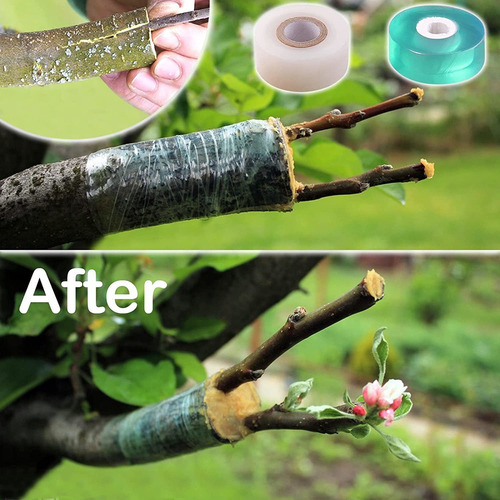 Cinta De Injerto De Jardín De 6 Piezas Para Árboles Frutales