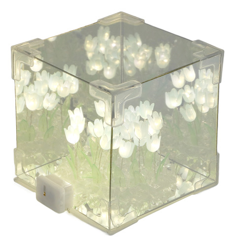 Espejo Led Decorativo Nocturno 2 En 1 Hecho A Mano Para Amig