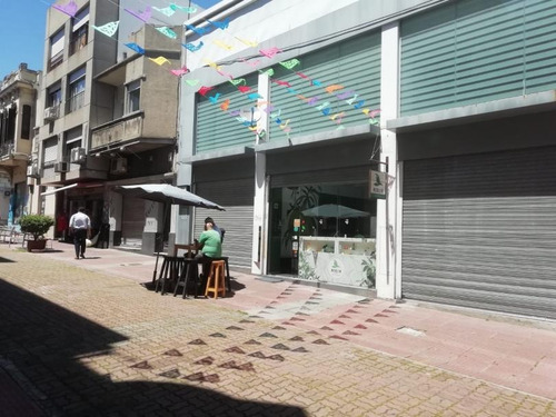Alquiler Local Ciudad Vieja