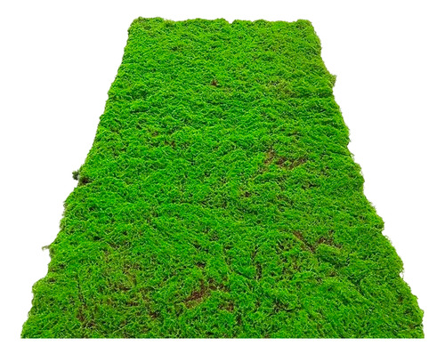 Musgo Artificial De Plantas Verde Musgo Sintético 1mt X 1mt