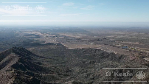 Imagen 14 de 30 de Campo En Venta En Tupungato De 30000 Has - Viñedos De Altura - Nogales - Desarrollo Inmobiliario