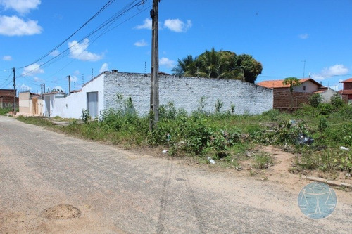 Imagem 10 de 15 de 11093) Terreno Em Parnamirim - V-11093
