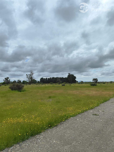 Sitio En Venta En Cauquenes