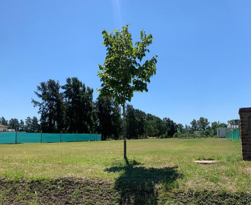 Imagen 3 de 8 de Venta De Lote En Haras De Sol- Pilar