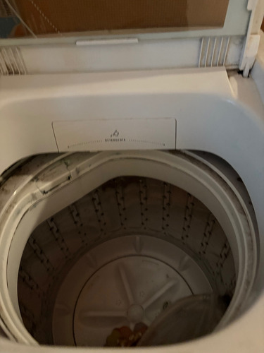 Lavarropas Automático Electrolux. Lava. No Centrifuga Blanco (Usado)