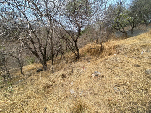 Terreno En Venta Con 30 Mts. De Frente. Lomas De Coyuca