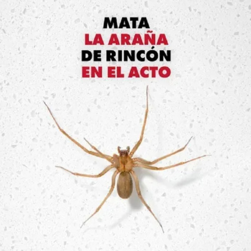 Raid Mata Todo Insecto 360cc