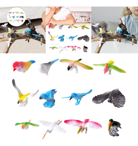 12 Figuras De Pájaros Para Juguetes Educativos De