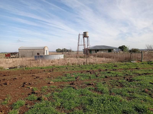 Imagen 16 de 23 de Campo Agrícola En Gualeguaychú (camino De Rojas)