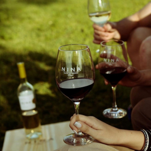 Imagen 4 de 10 de Vino Nina Gran Cabernet Franc Caja X 6 X 750ml. - Envios