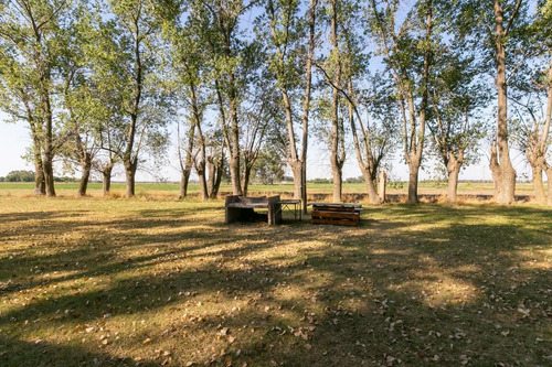 Imagen 13 de 30 de Oportunidad De Chacra Más Campo -18ha - En Virrey Del Pino