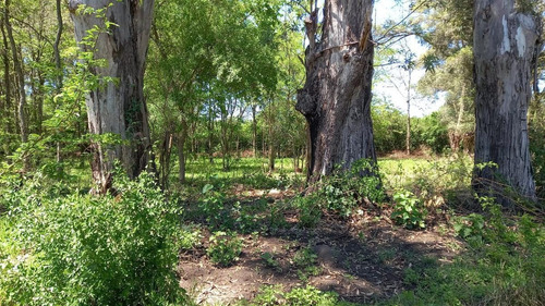 Imagen 4 de 6 de Lote En Venta Zona Las Chacras Mermoz Al 2200 Ingeniero Maschwitz Lote 16