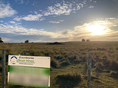 Vende Venta Campo Rocha Garzon Jose Iganacio Ruta 9 Laguna De Rocha