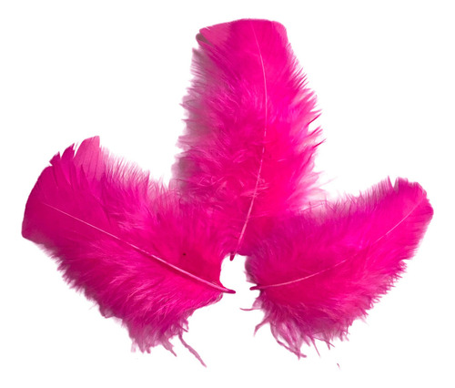 Peninhas De Galinha Artesanato Carnaval Penas Fuê 25g Pink