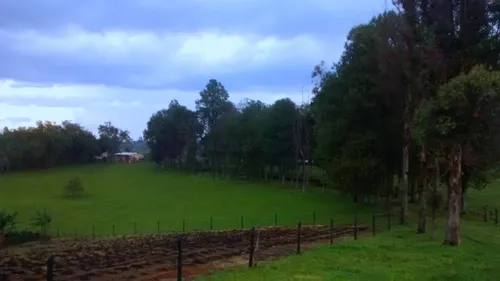 Piendamó, 23 Plazas Ganaderas Y/o Agrícolas.