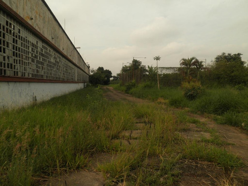 Galpão Industrial À Venda, Parque São Domingos, São Paulo. - Ga0038