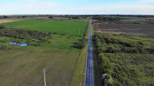 Imagen 5 de 8 de Chacra A 5 Km De La Ciudad Con Frente Sobre Ruta Bituminizada
