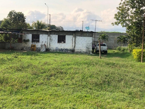 José Herrera Vende Mini Finca En La Entrada De Nirgua Estado Yaracuy. (plf-005)