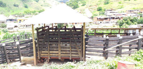 Imagem 2 de 15 de Fazenda, Para Venda Em Faria Lemos/mg - Fle2620faz