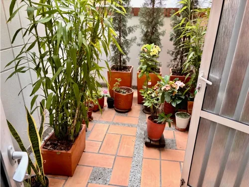 Apartamento En Venta En Laureles