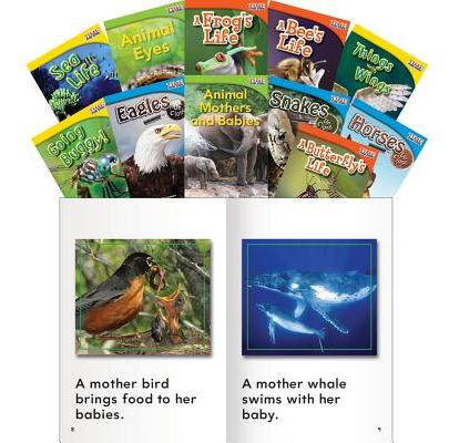 Libro Animals And Insects, Grades 1-2 - Teacher Created M...