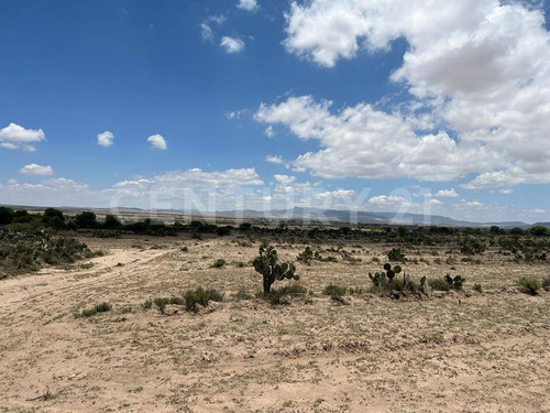 Terreno En Venta En San José De La Purísima, Villa De Arriaga, Slp.