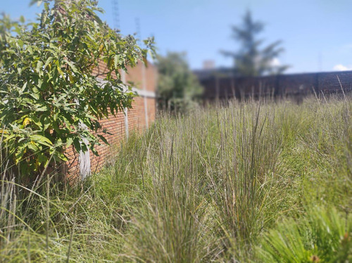 Venta De Terreno Ejidal En Cacalomacan Toluca