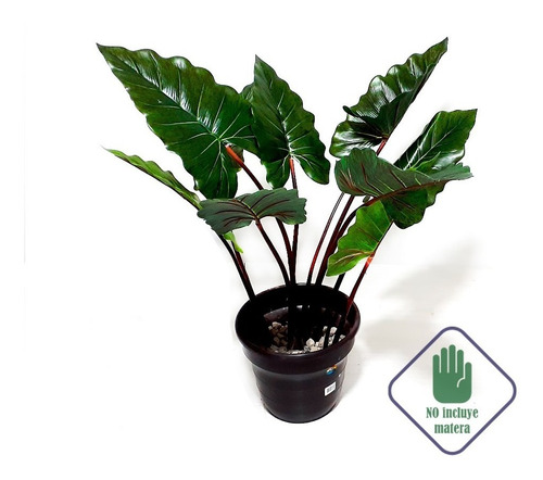 Planta Artificial Alocasia U Oreja De Elefante