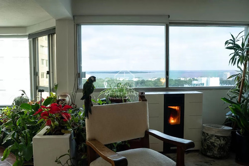 Oportunidad Apartamento En Venta, Punta Del Este.