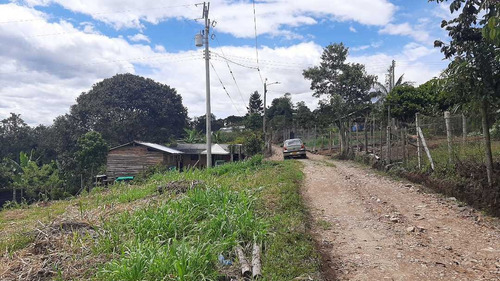 Imagen 5 de 15 de Venta Lote Esquinero -620 Mts2 - Julumito Popayan