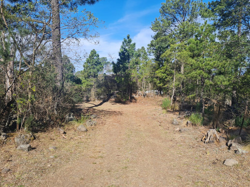 Lotes En Venta San Clemente Desde 1 Ha