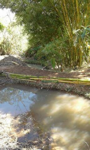 Imagem 1 de 4 de Chácara À Venda, 10000 M² Por R$ 180.000,00 - Centro - Redenção Da Serra/sp - Ch0692