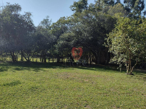 Imagem 6 de 14 de Sítio Com 4 Dormitórios À Venda, 2000 M² Por R$ 170.000 - Morungava - Gravataí/rio Grande Do Sul - Si0042