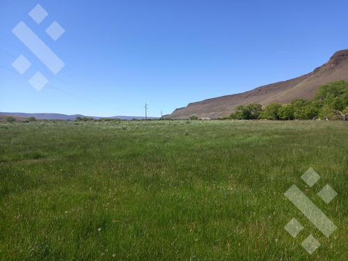 Venta De Estancia En Ruta Provincial 21, Kilómetro 31, Departamento Picunches, Paraje Huarenchenque