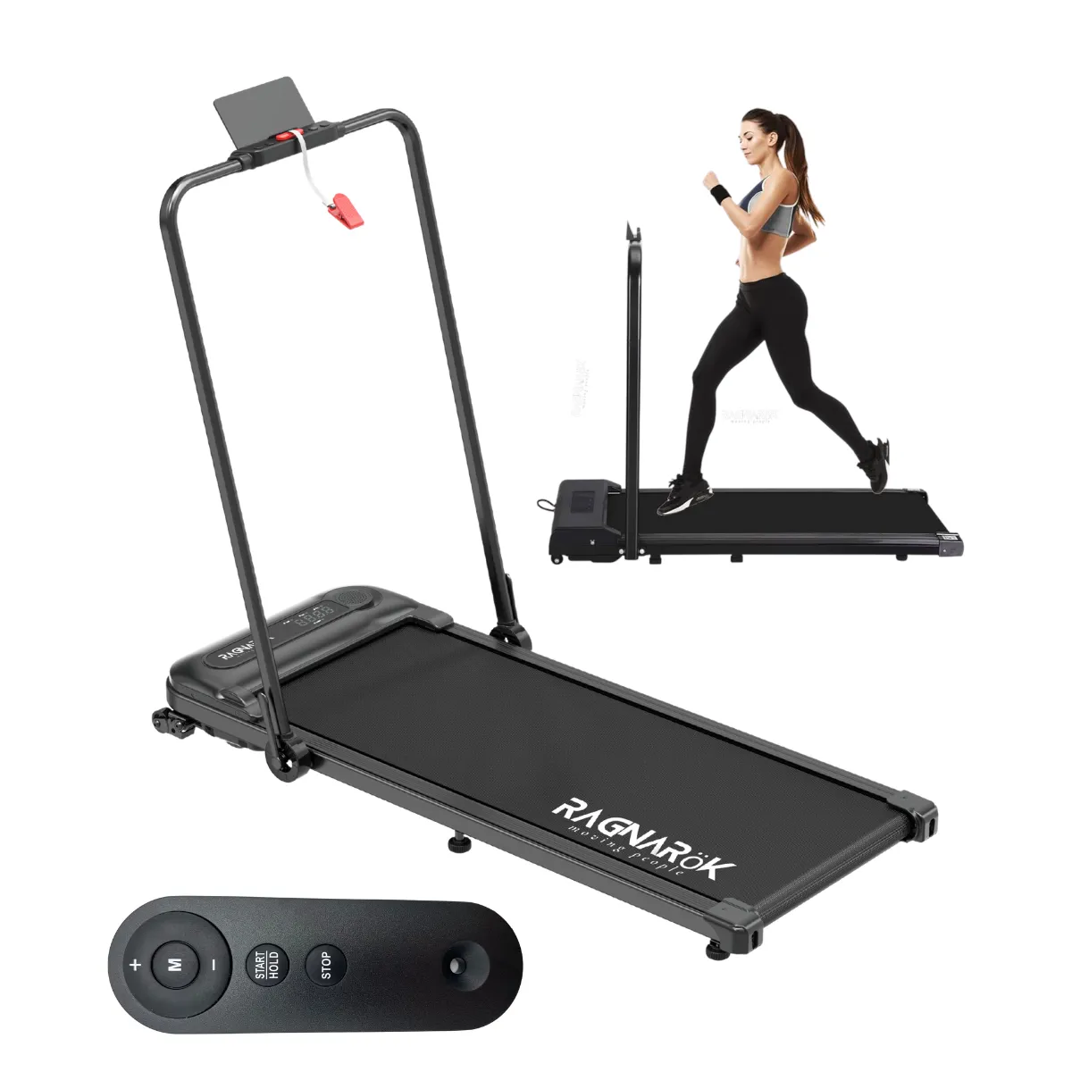 Fitness y Musculación