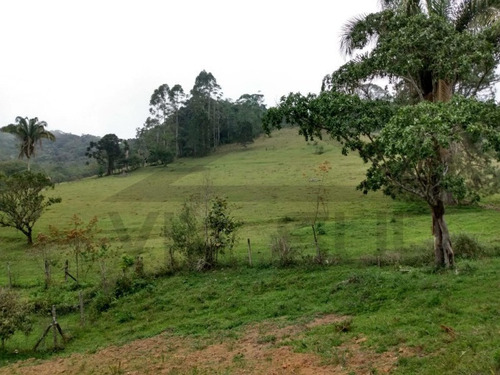 Imagem 29 de 30 de Lindo Sítio Para Moradia E Lazer Localizado Em Juquitiba/sp. - 103 - 68891502