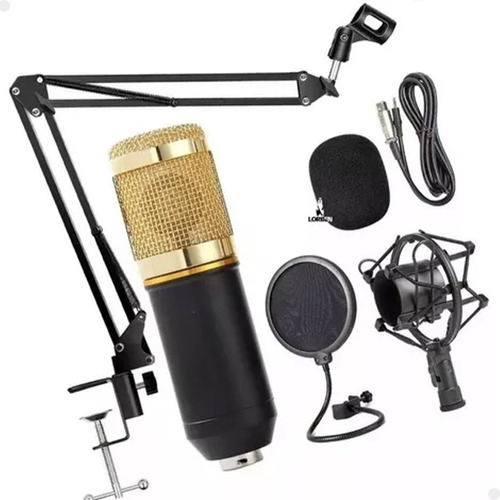 Kit Microfone Bm800 Pop Filter Aranha Braço Articulado Cor Preto