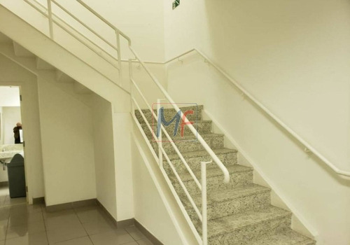 Imagem 5 de 20 de Ref- 13.456 Excelente Galpão Localizado No Bairro Ipiranga, 350 M² De Área Útil, Piso Porcelanato. 4 Banheiros Sendo 1 Para Deficiente. - 13456