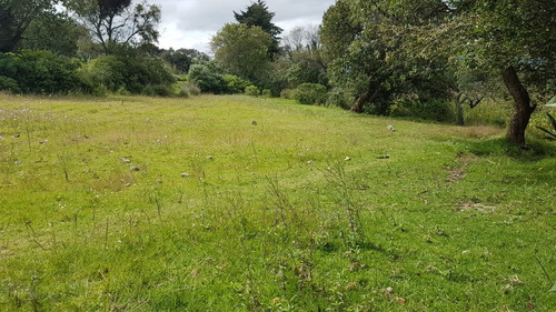 Imagen 7 de 14 de 2,243 M2 Terreno En Acambay De Ruiz, Edo. Mex