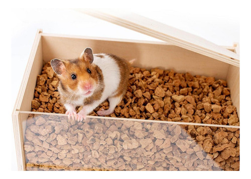 Caja De Excavación Para Hámster, Kits Pequeños De M