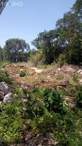 Imagen 2 de 5 de Terreno En Venta En Yaxcopoil